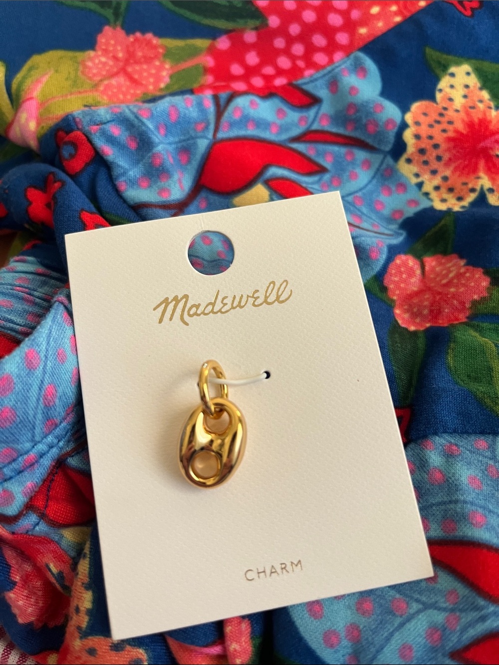 Madewell Gold Polished Carabiner Link Charm Pendant